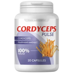 Cordyceps pulse Suplemento alimentar (cápsulas) para a saúde das articulações, do sistema cardiovascular, para a potência, para diabetes e prostatite
