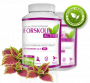 Forskolin active