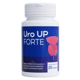 Uro UP Forte comprimidos para prostatite – farmácias, preço, críticas negativas, ingredientes